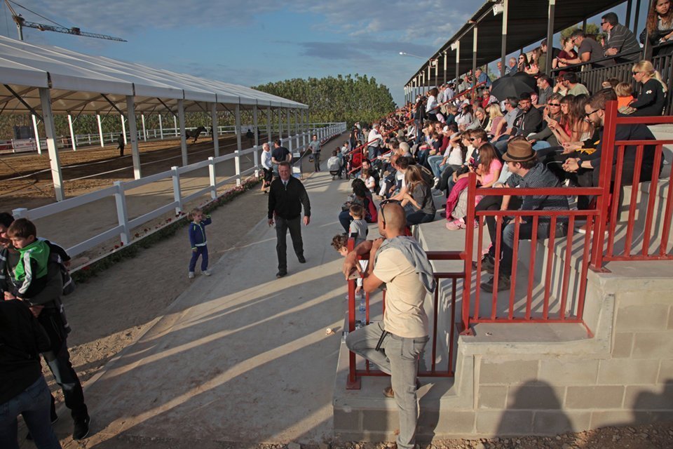 El públic participa del concurs EquiMollerussa
