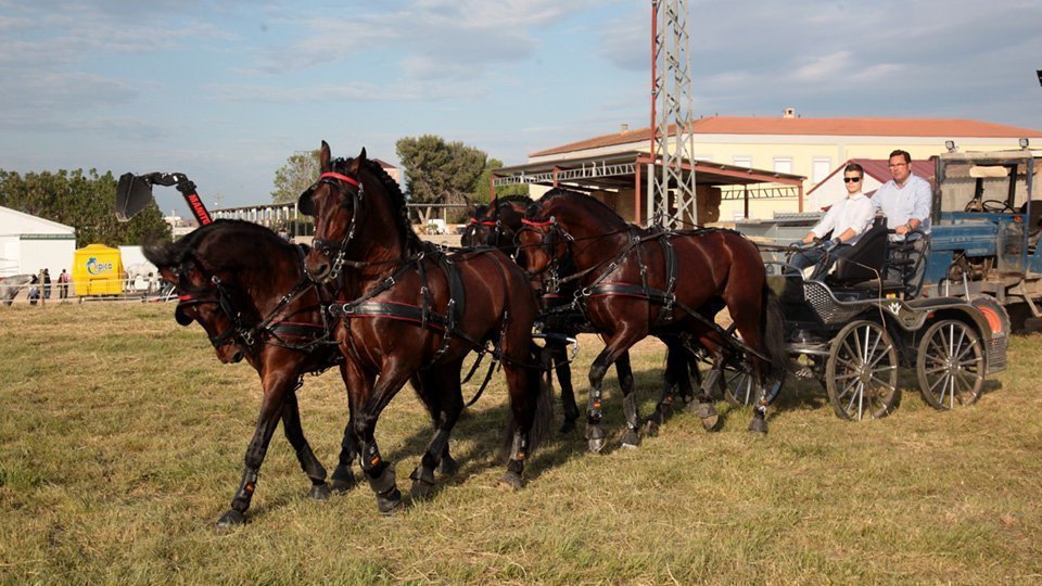 Activitats en el marc del primer certamen EquiMollerussa en l'INS Mollerussa