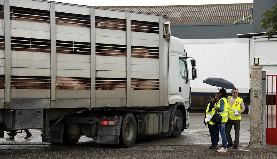 Representants d'UGT informant de la vaga del 18 de juny a les portes de l'escorxador de Mollerussa