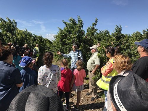 Ruta de Patrimoni Alcarràs en Fruit edició del 2017 Tex