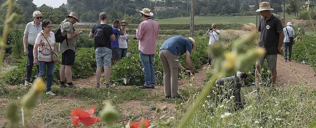Edicions anteriors del projecte Benvinguts a Pagès