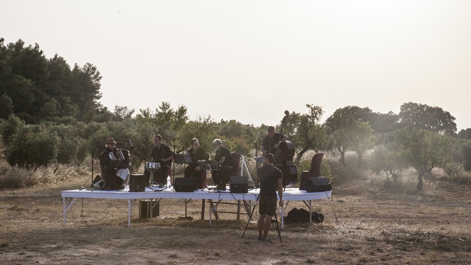 Vinya dels Artistes 2018 8