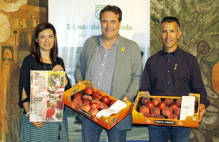 FRUITA ALCARRÀS-01