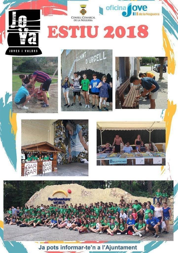 Cartell del projecte JoVa 2018