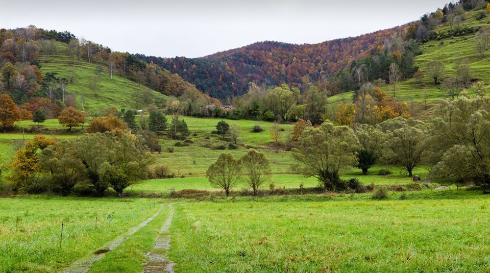Un dels tallers del màster tindrà lloc a la Garrotxa