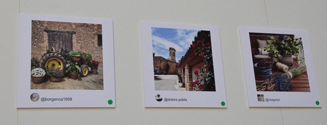 Les imatges guanyadores del Concurs d’Instagram Les Garrigues en Flor