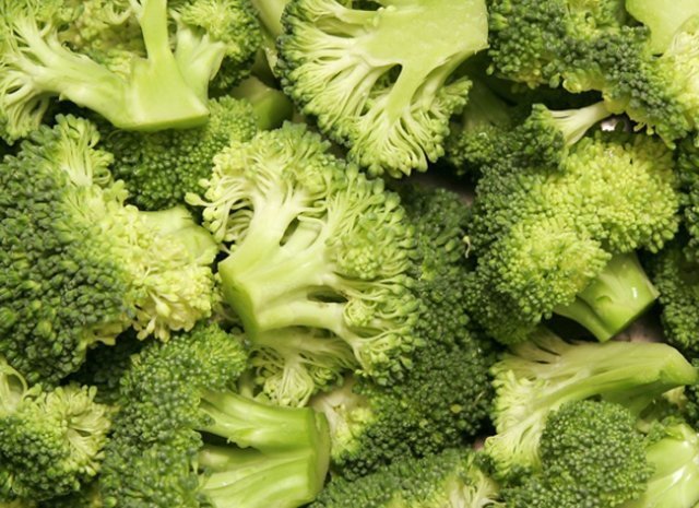 Planta del brócoli Cooperativa Ivars