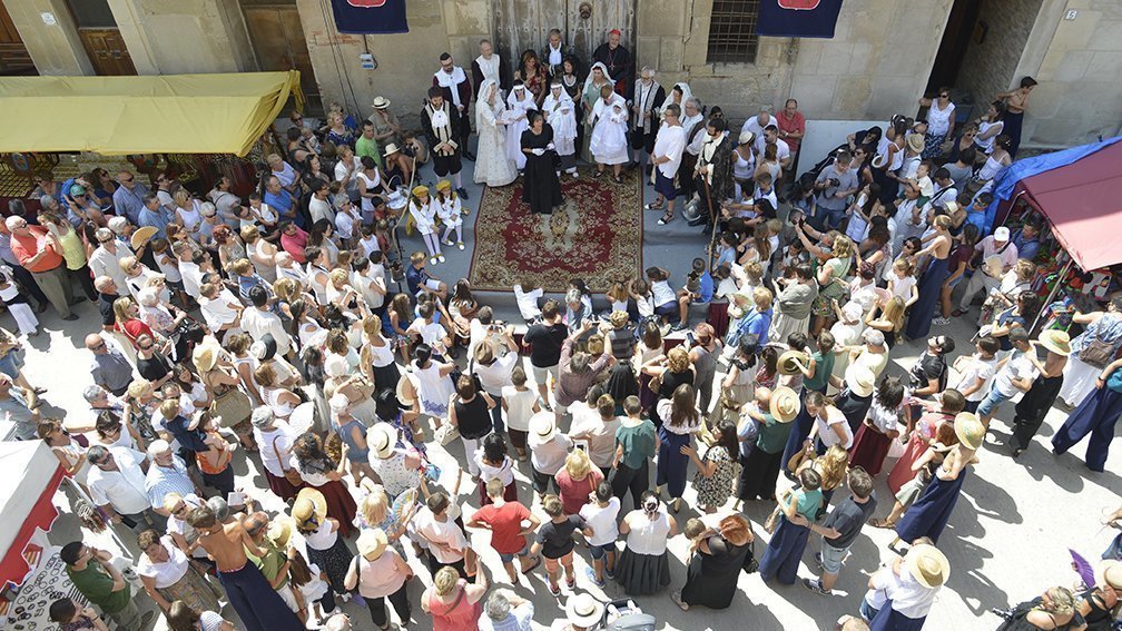 Firals vista dalt PORTADA