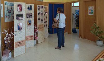 Exposició Segarra, Imatges amb tracte, del CC de la Segarra