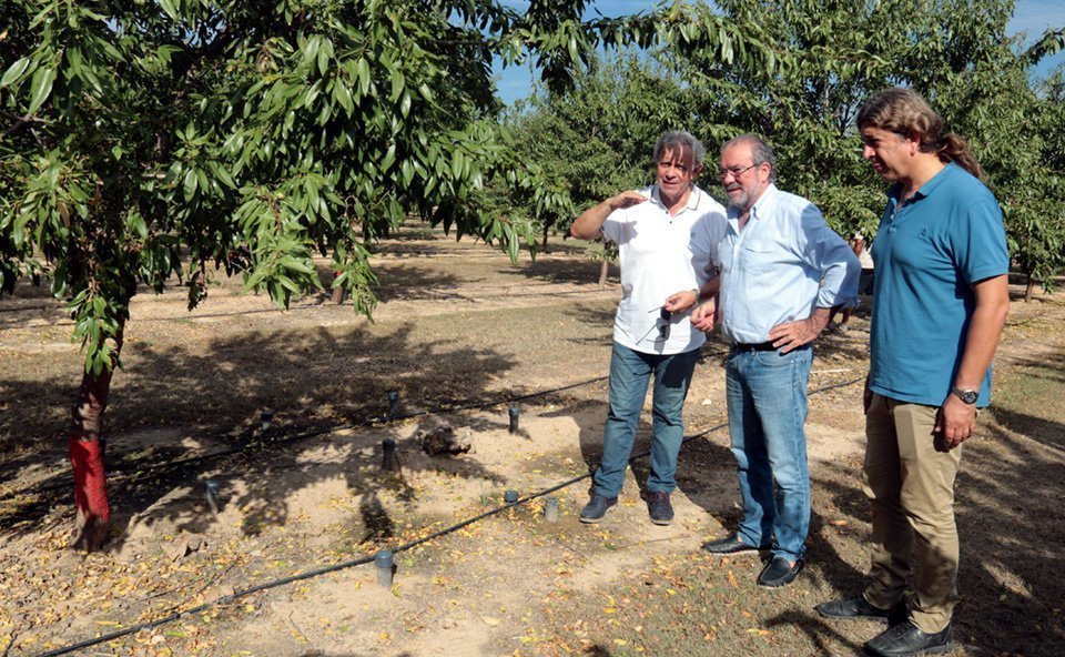 El president de la Diputació Joan Reñé vista la finca d'atmellers de l'IRTA a Maials