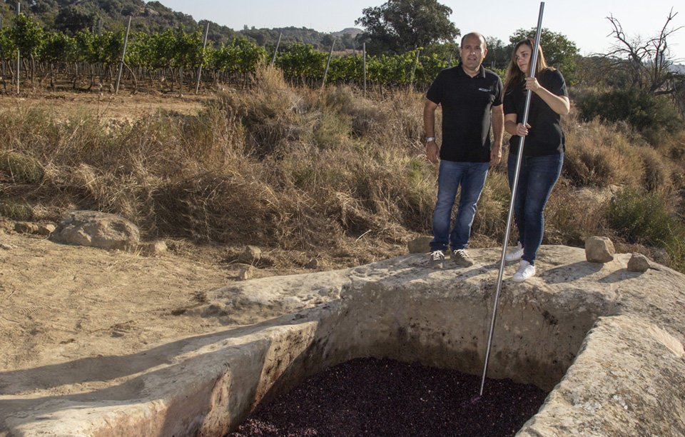 Joan Porcioles i Maria Mendoza en el trull de pedra preparant el raïm 1