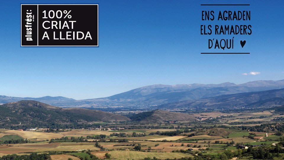 Campanya 100% criat a Lleida