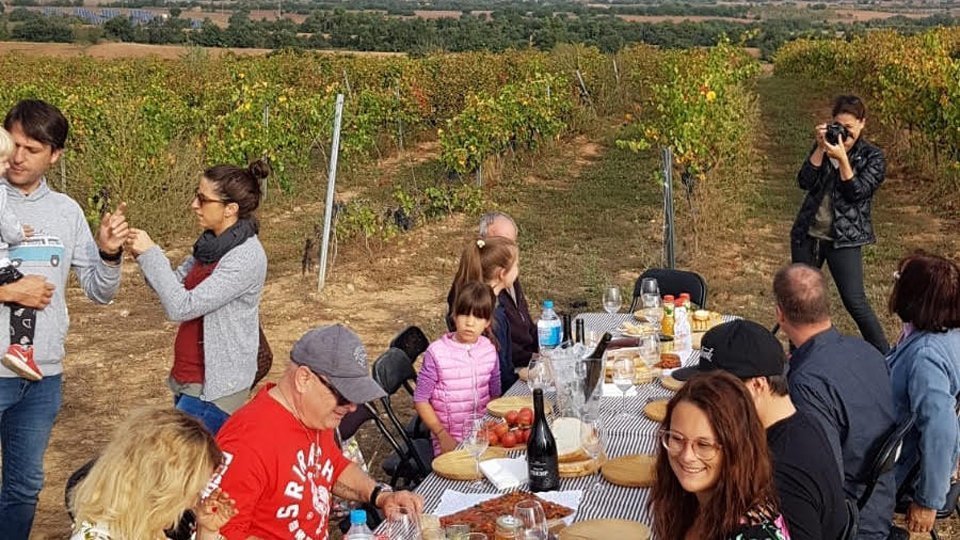 Participnts en la verema al celler