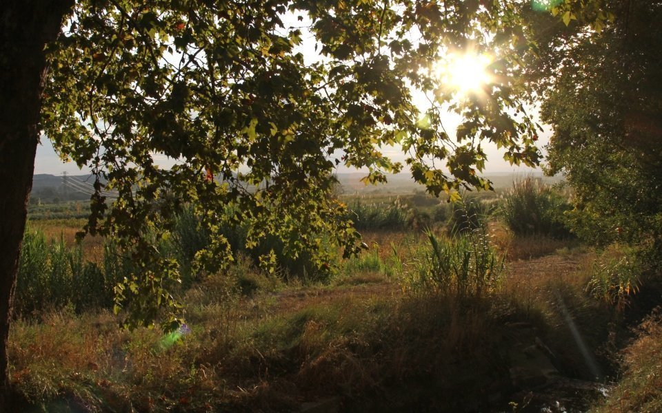 © Fotografia d'Esther Barta. La banqueta del Canal d'Urgell al seu pas per Juneda.