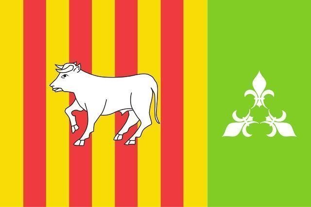 PropostaBandera2