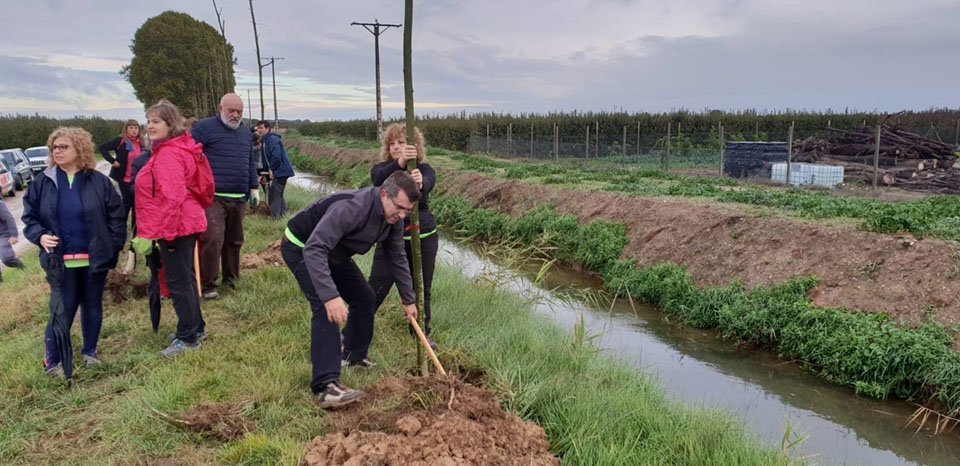 Els participants en la plantada d'arbres en la banqueta de Mollerussa