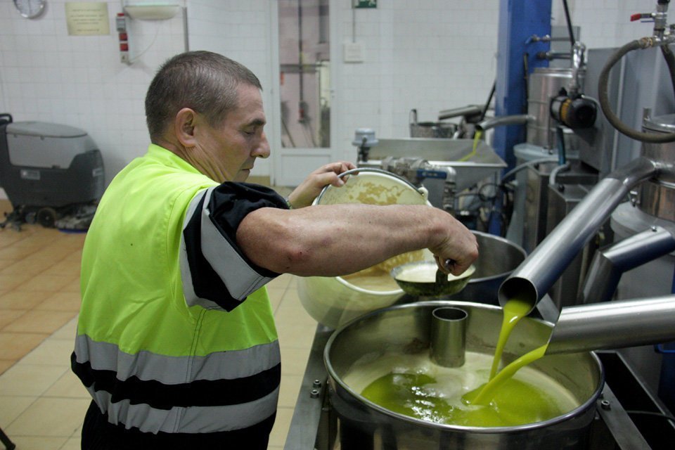 Pla mitjà d'un treballador de la cooperativa de Maials en una de les màquines on es veu el rajolí d'oli, el 18 de novembre de 2018 (Horitzontal).