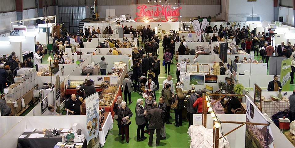 Pla general de les parades instal·lades a l'interior del pavelló de Maials, amb visitants recorrent els passadissos, en el marc de la 21a Fira de l'Oli Verd, el 18 de novembre de 2018 (Horitzontal).
