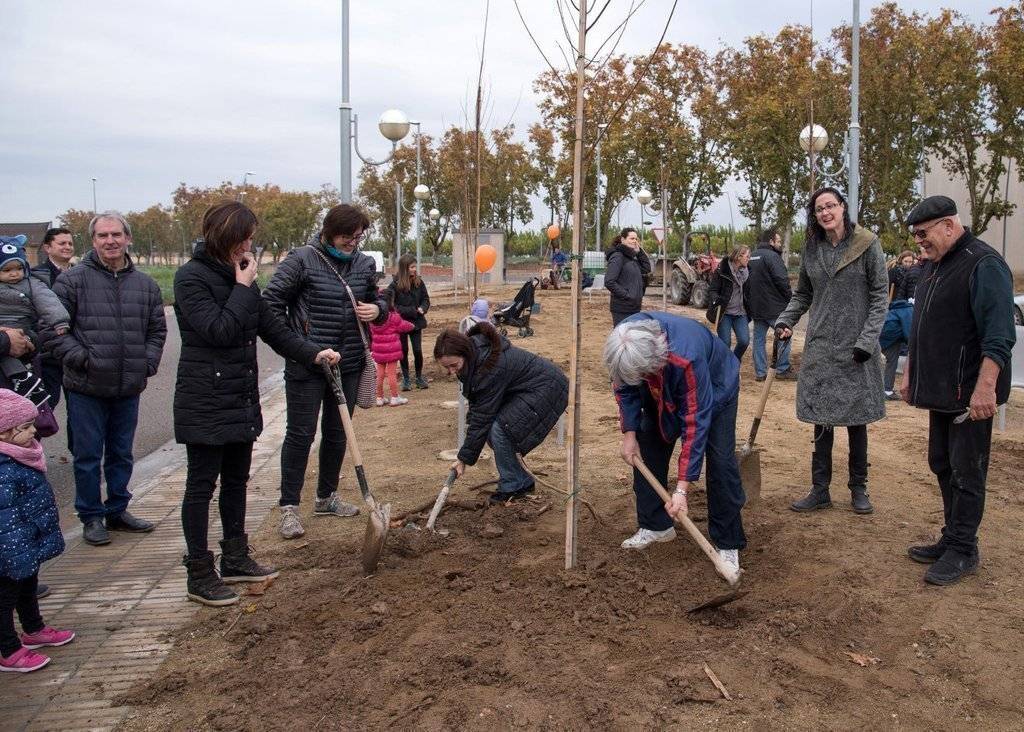 VII Festa del Medi Ambient. Plantada d'Arbres-Arces