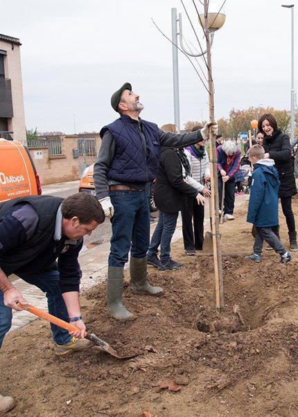 VII Festa del Medi Ambient. Plantada d'Arbres-Arces