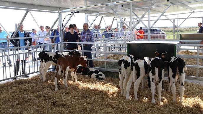 Granja experimental de la Cooperativa d'Ivars d'Urgell 1