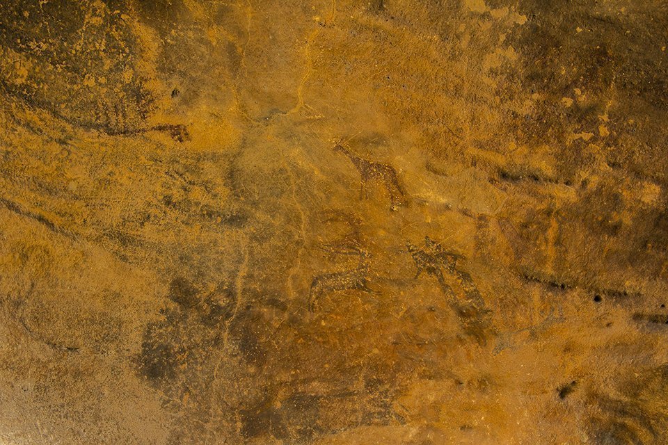 Pintures rupestres de la Roca dels Moros del Cogul