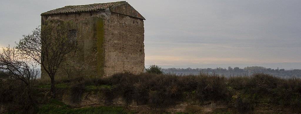 Construcció de tàpia en el terme d'Ivars d'Urgell