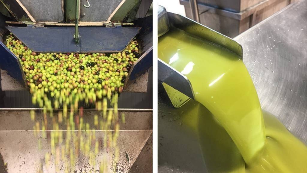 Nou oli Terrall-campanya 2017