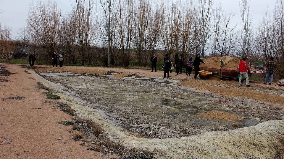Bassa de reproducció d'amfibis a l'Estany d'Ivars i Vila-sana