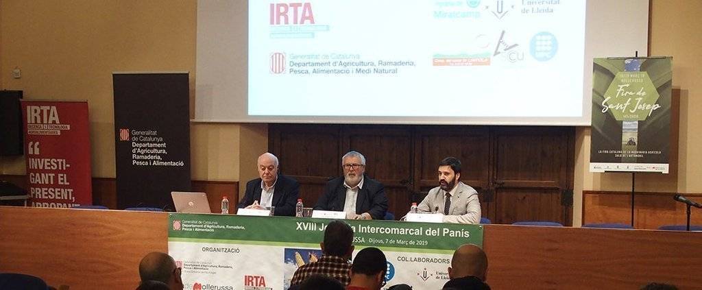 El cultiu el panís en el marc de les Jornades Tècniques de Fira Mollerussa