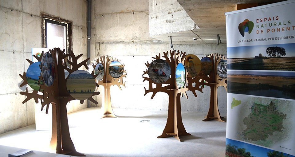 Pla obert on es pot veure la planta superior de Cal Sinén, a l'estany d'Ivars i Vila-sana, on s'ubicarà un espai de bar, el 14 de març de 2019. (Horitzontal)