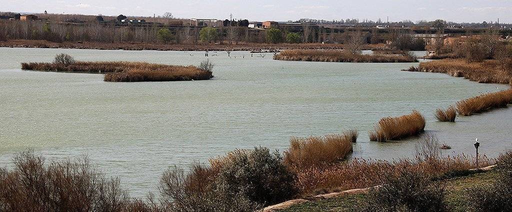 Pla general on es pot veure l'estany d'Ivars i Vila-sana i part de la seva làmina d'aigua,
