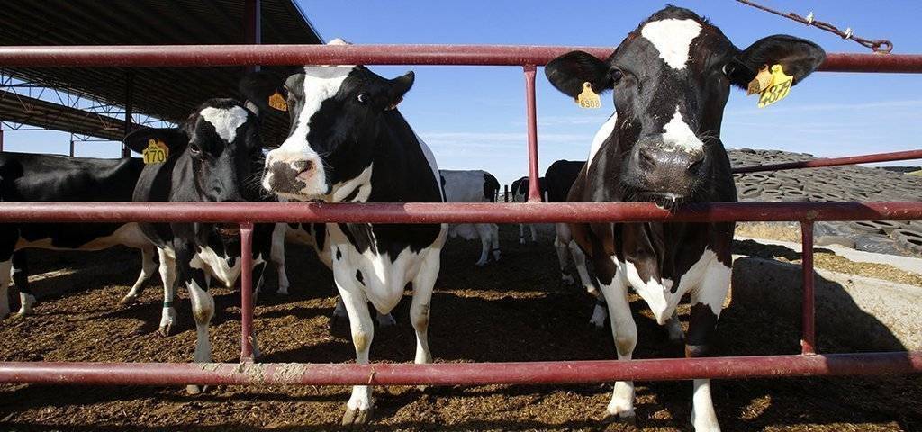 Granges Diferència A2 a la demarcació de Lleida