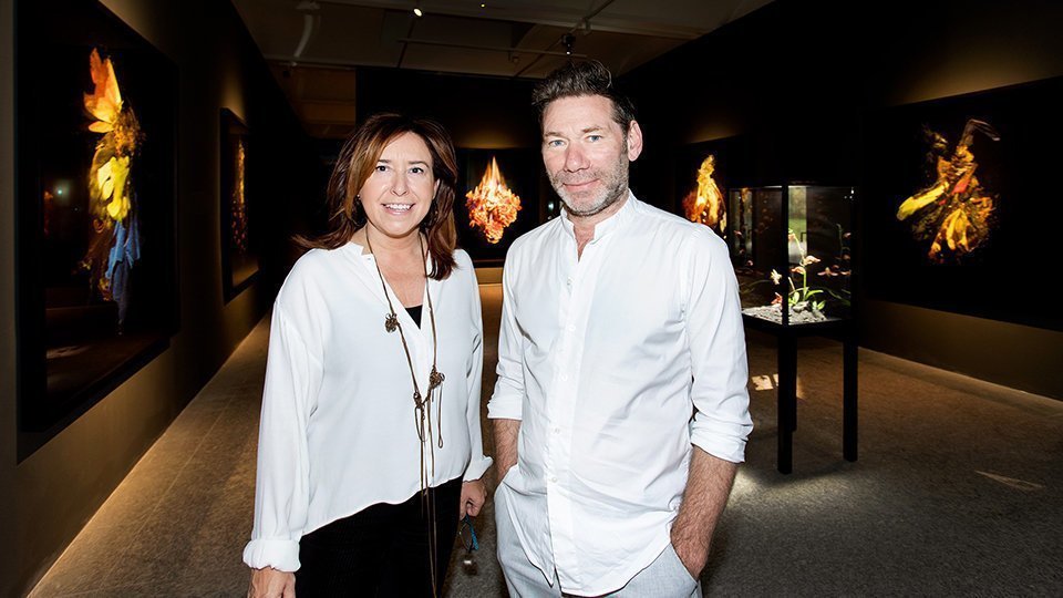 L'exposició 'The End of Innocence', de Mat Collishaw a la Fundació Sorigué