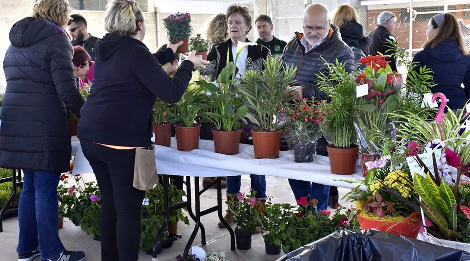 Parada de venda de plantes a la Pista Poliesportiva de Sidamon 1