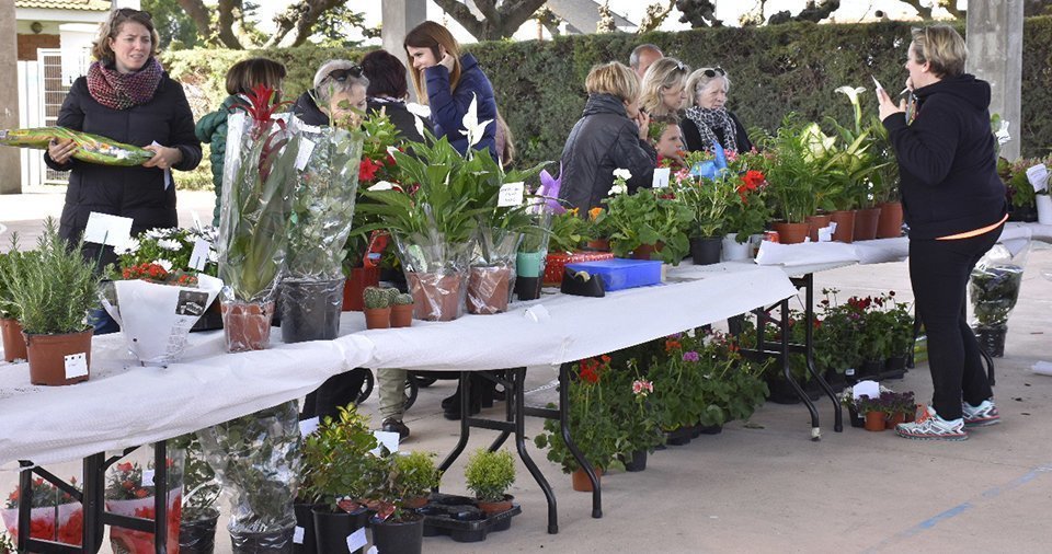 Parada de venda de plantes a la Pista Poliesportiva de Sidamon
