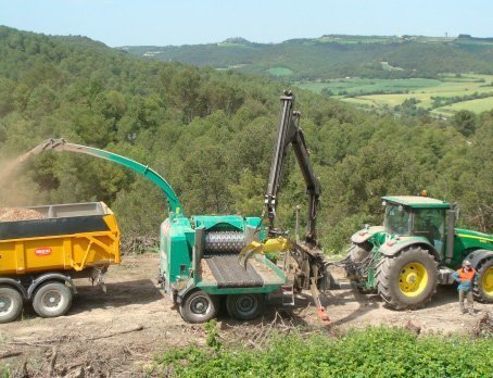 Tasques de tractament forestal
