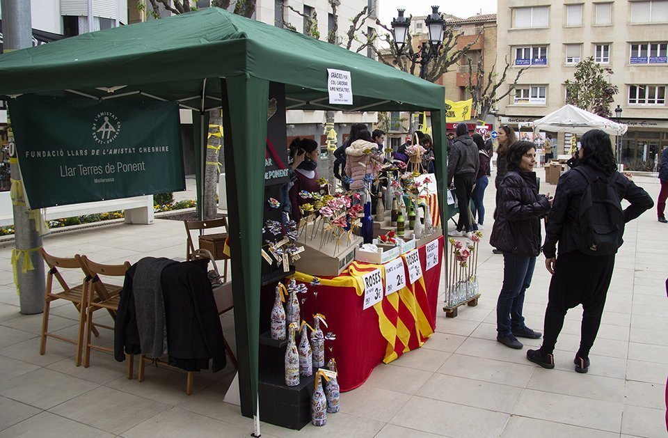 Diada Sant Jordi Mollerussa 2