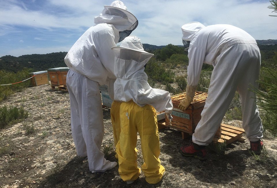 Activitats del cap de setmana Benvinguts a Pagès