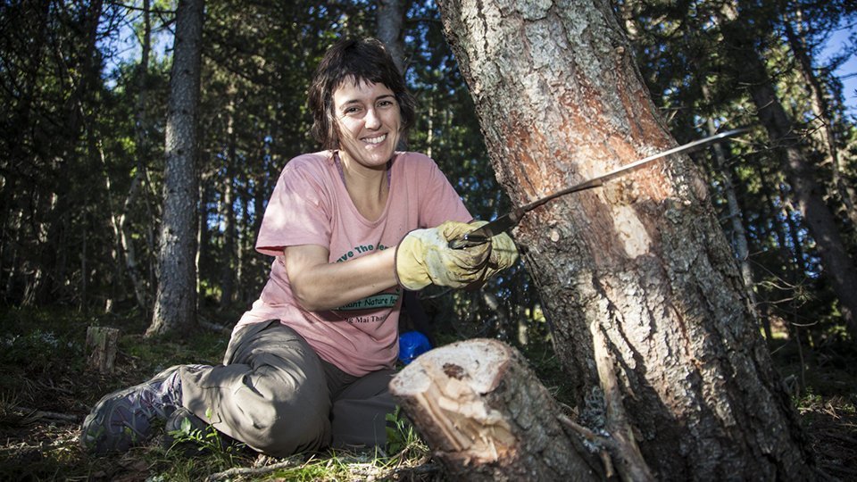 Activitats del projecte Boscos de Muntanya