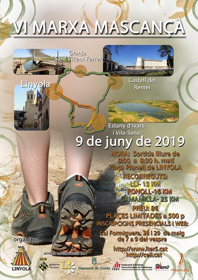 Cartell VI marxa