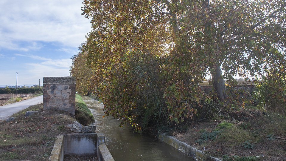 Imatges de la banqueta d'una séquia dels Canals d'Urgell