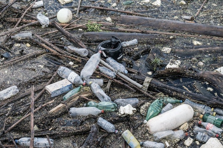 plastic - pexels