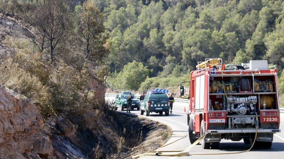 Bombers i Agents Rurals en el punt on es va originar l'incendi de Maials. Imatge del 23 de juny de 2019. (Horitzontal)