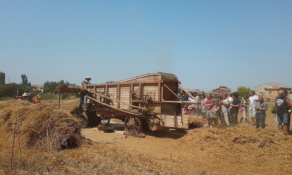 Festa del Segar i Batre la Fuliola