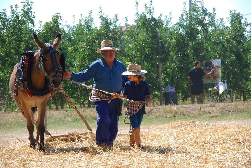 Festa del Segar i Batre la Fuliola3