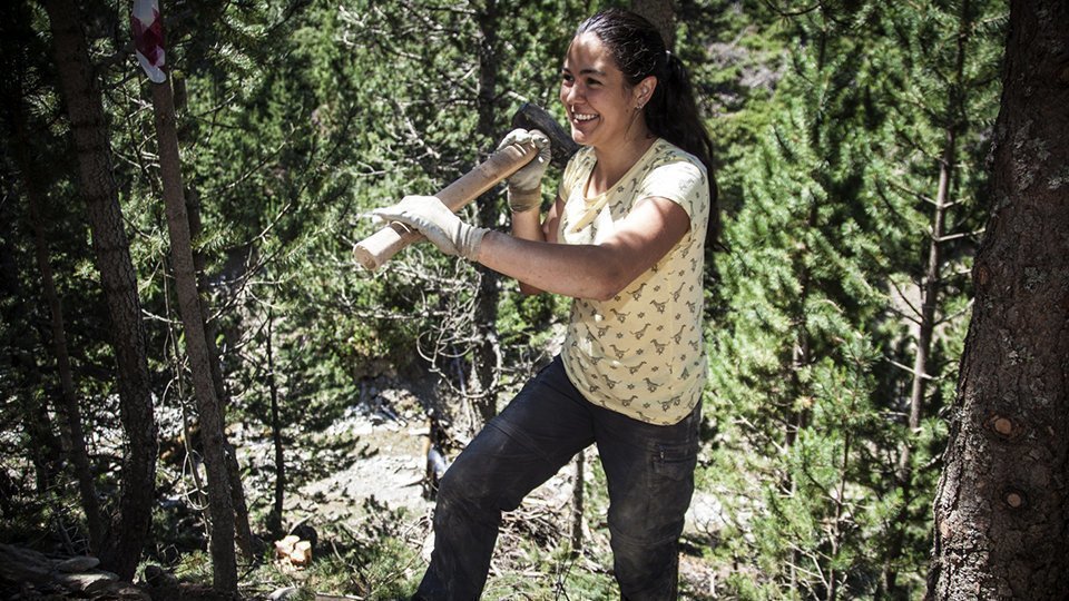 Projecte Boscos de Muntanya