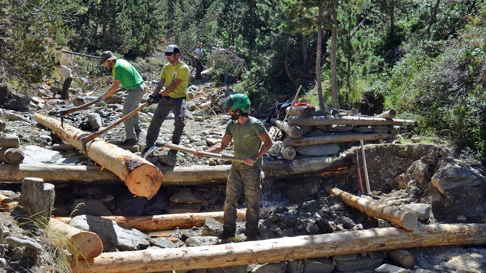 Projecte Boscos de Muntanya (5)