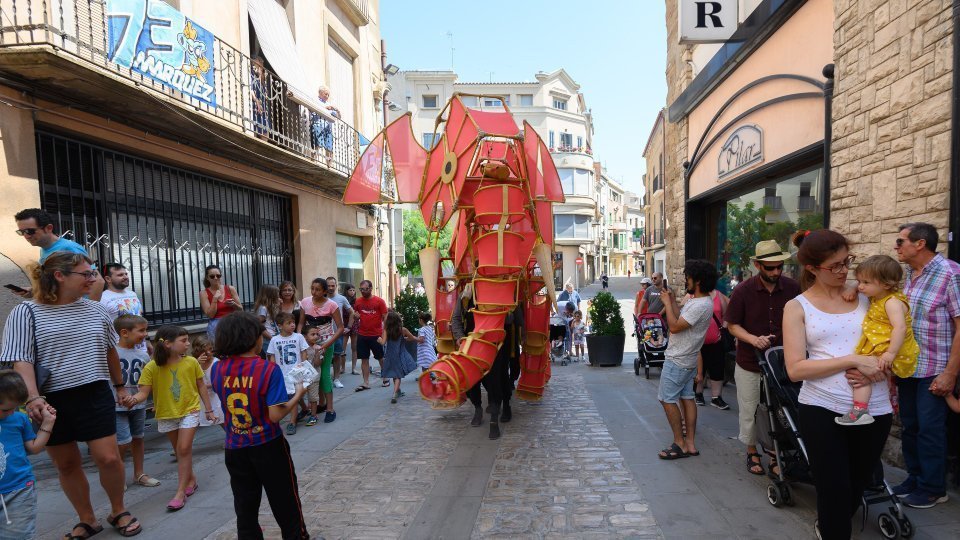 Hathi, l'espectacle itinerant del MMEU de Cervera - Jordi Prat