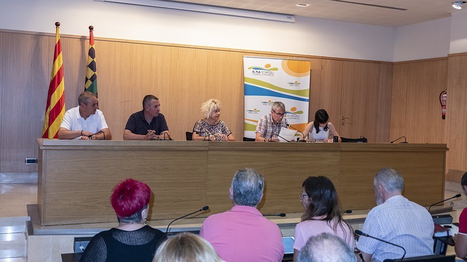 Ple Consell Conarcal del Pla d'Urgell